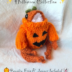 Halloween Pumpkin Frog