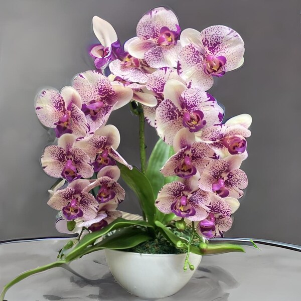 Faux Orchid Etsy