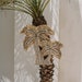 see more listings in the WALL DECOR section