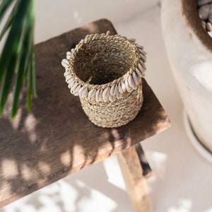 Cowrie Shell Seagrass Baskets Handmade Balinese Baskets, Jewelry Box, Natural Storage basket, Hand Woven seagrass image 8