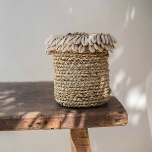 Cowrie Shell Seagrass Baskets Handmade Balinese Baskets, Jewelry Box, Natural Storage basket, Hand Woven seagrass image 9