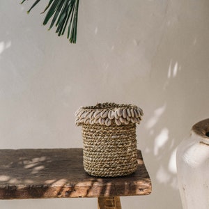 Cowrie Shell Seagrass Baskets Handmade Balinese Baskets, Jewelry Box, Natural Storage basket, Hand Woven seagrass NATURAL