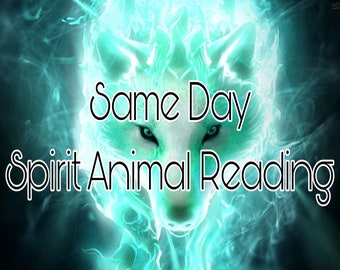 Same Day | Animal Spirit Reading | Which Animal Spirit has a message for me? | Oracle Reading | Tarot Reading