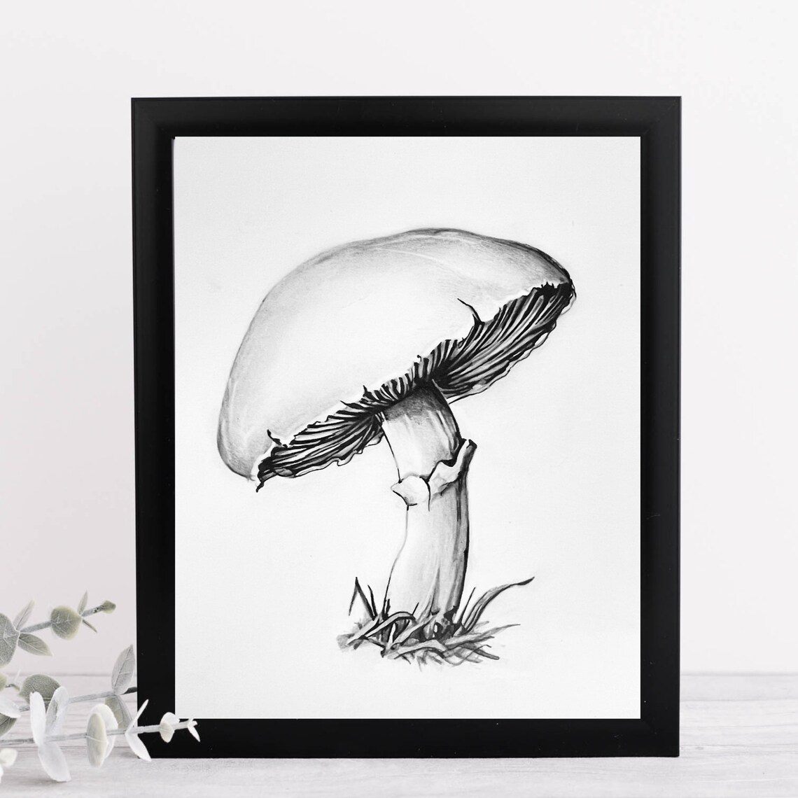 Original Mushroom Drawing Mushroom Pencil Drawing Mushroom Mushroom