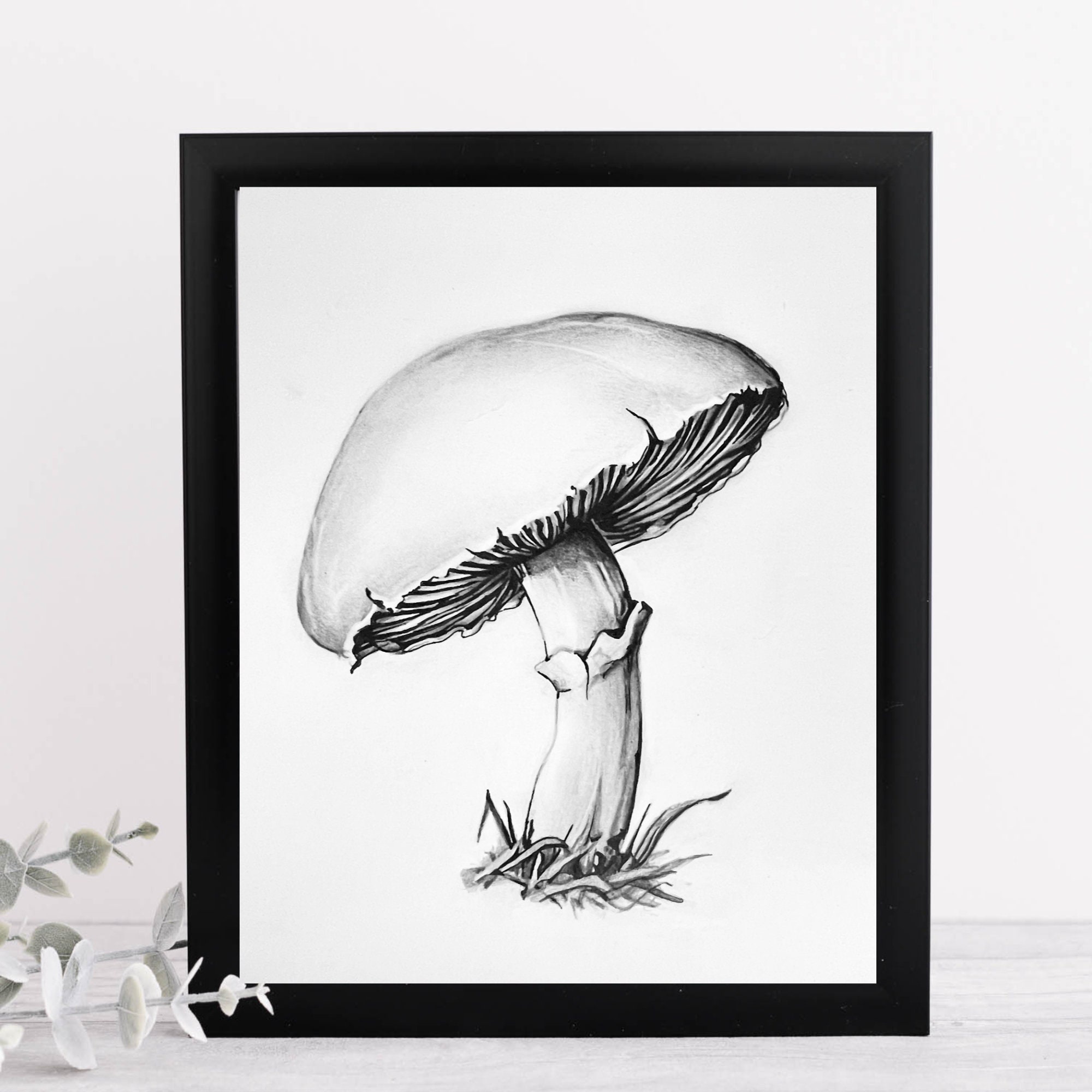 Original Mushroom Drawing Mushroom Pencil Drawing Mushroom Mushroom