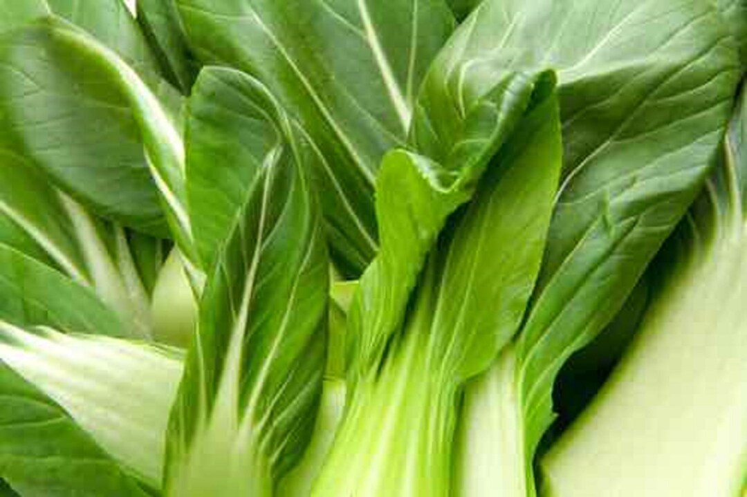 150 Dwarf White Stemmed Bok Choy Seeds Heirloom Spend 25 Get Free 150-dwarf-white-stemmed-bok-choy-seeds-heirloom-spend-25-get-free