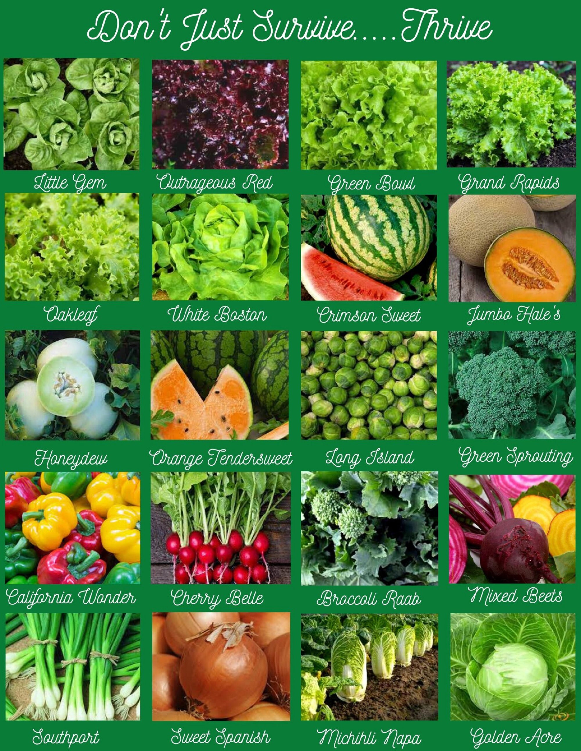 7,500 Vegetable, Fruits and Herb Variety Seeds Survival Seed Kit 40