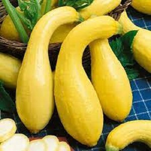 Peut inclure: Un groupe de courgettes jaunes, certaines courbées et d'autres droites, disposées dans un panier avec des feuilles vertes.
