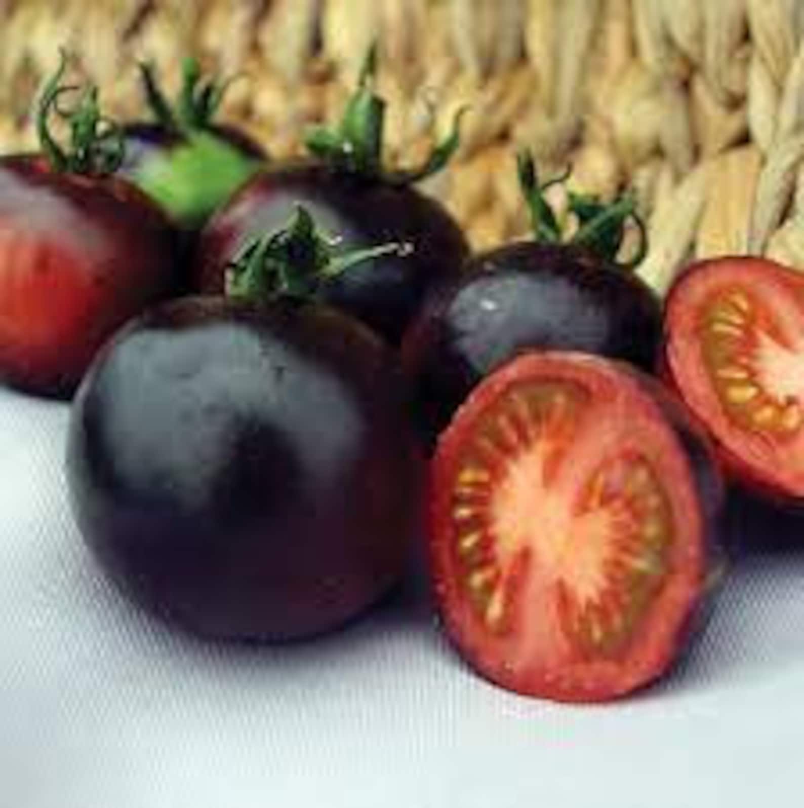 Tomato Seeds 15+ Indigo Rose Cherry Tomato Seeds -heirloom - COMBINED ...