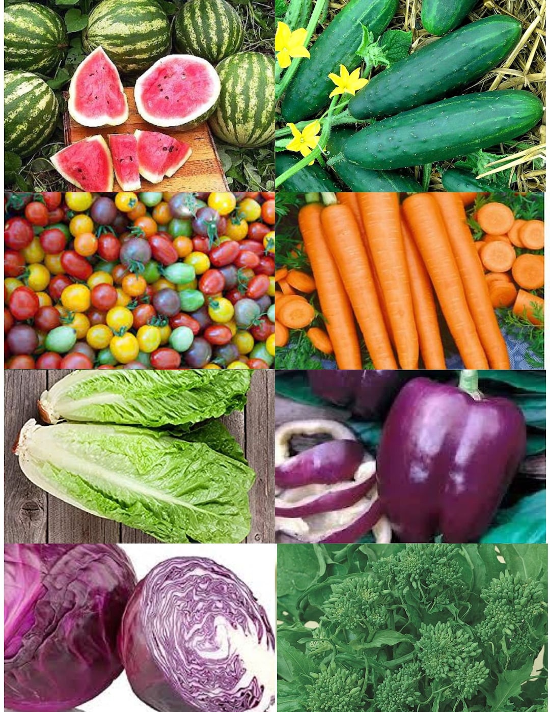 1000 Heirloom Vegetable Seeds 8 Variety Garden Pack 8 Organic nongmo