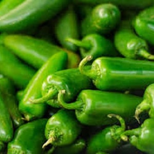 May include: A close-up of a pile of bright green jalapeno peppers.