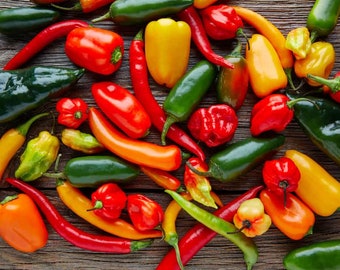 25+ Hot Pepper Blend Seeds (Non-GMO) Heirloom-****Fast Flat Rate Shipping  Spend 25 Get Free Shipping Promo Code FREESHIP