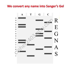 Customized Sanger Sequencing Gel image 2