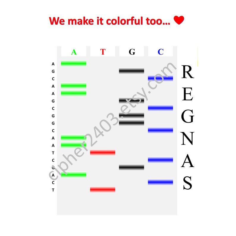 Customized Sanger Sequencing Gel image 3
