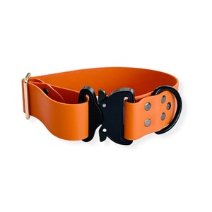 May include: Orange rubber dog collar with a black buckle and a black metal D-ring.