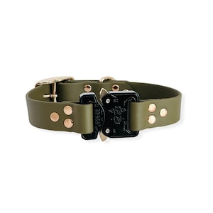 May include: A green rubber dog collar with a black buckle and gold accents. The collar has a buckle with the text "COBRA BUCKLE" printed on it.