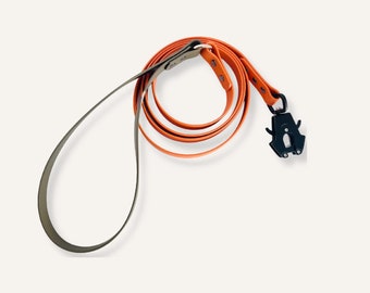 Stylish and Functional for All Weather Custom Biothane Dog Leash for spring medium to big walking hiking - Customize with frog carabiner