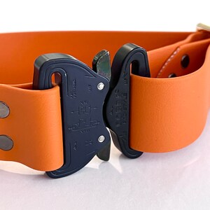 May include: A close-up of an orange leather dog collar with a black Cobra buckle. The buckle has the text "COBRA" and "FREE STYLE" printed on it.