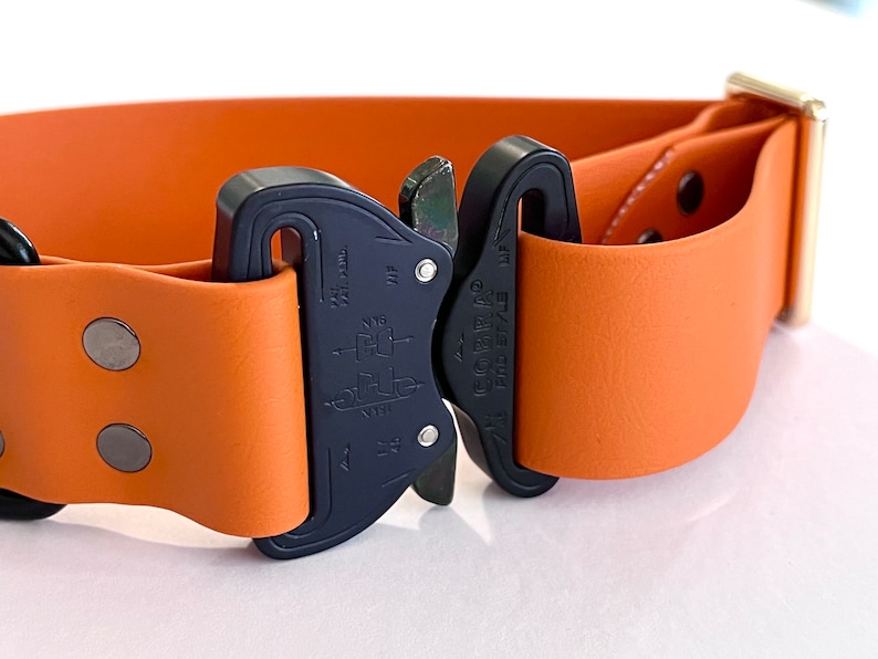 May include: A close-up of an orange leather dog collar with a black Cobra buckle. The buckle has the text "COBRA" and "FREE STYLE" printed on it.