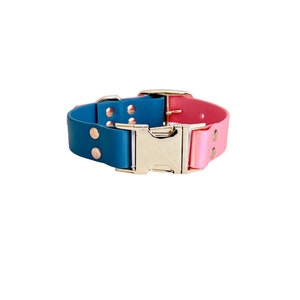 May include: A teal and pink dog collar with a gold buckle. The collar has a smooth, rubber-like finish and is accented with gold rivets.