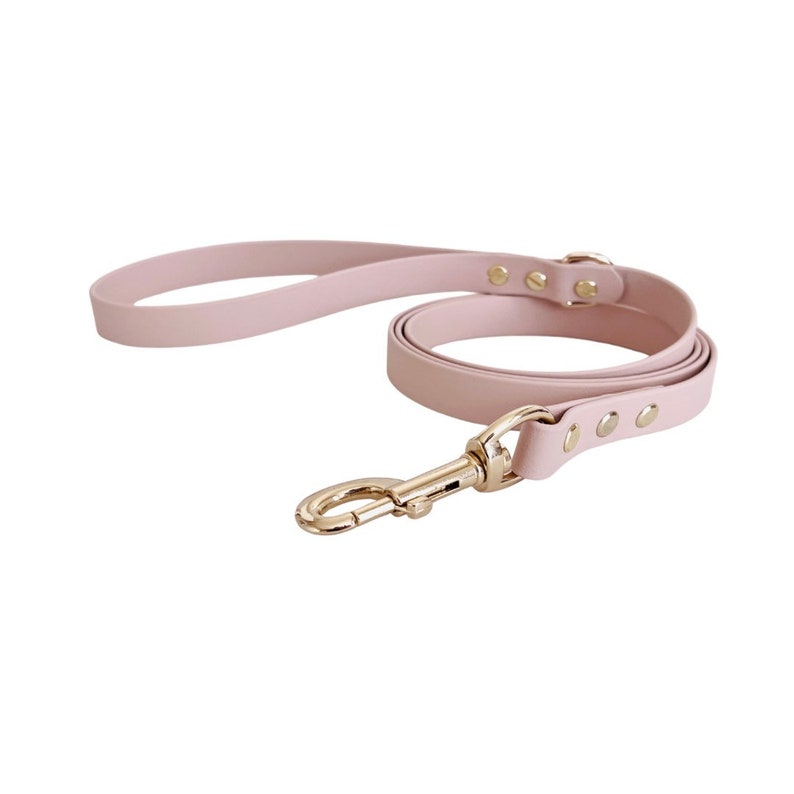 May include: A pink leather dog leash with a gold metal clasp and gold accents.