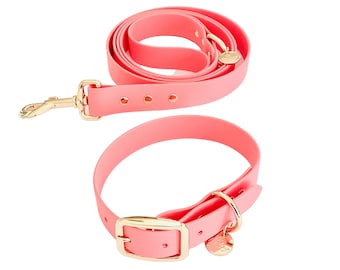 Adjustable Biothane Dog Collar and lead bundle Comfortable and Long-lasting Perfect for Active Dogs Stylish and Functional for All Weather