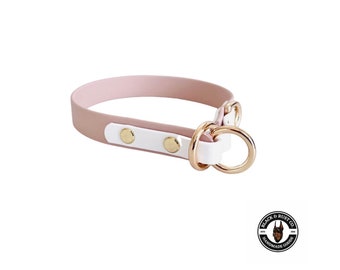 Waterproof Two Tone Slip collar dog collar - PASTEL color series Powder Tan and Diamond White Personalized dog collar