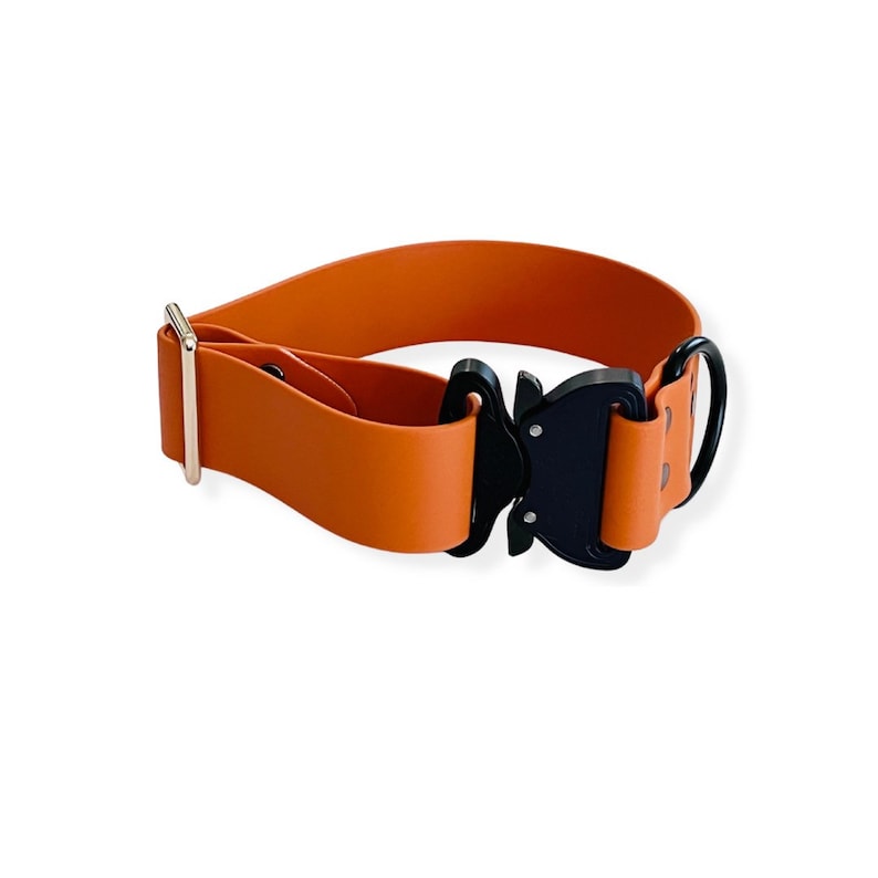May include: Orange rubber dog collar with a black buckle and a gold D-ring.