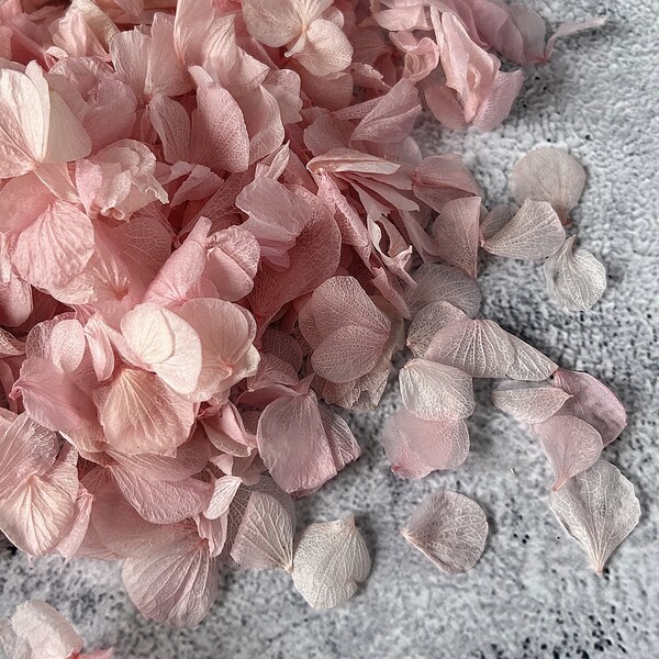1 Litre - Pink Hydrangea Petals - Biodegradable Wedding Confetti