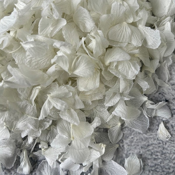 1 Litre - Snow White Hydrangea Petals - Biodegradable Wedding Confetti