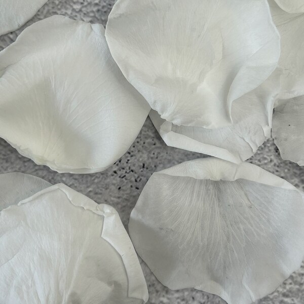 1 Litre - White Rose Petals - Biodegradable Wedding Confetti