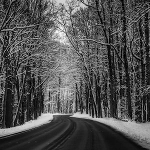 Great Smoky Mountains National Park Snowy Road Gatlinburg Tennessee