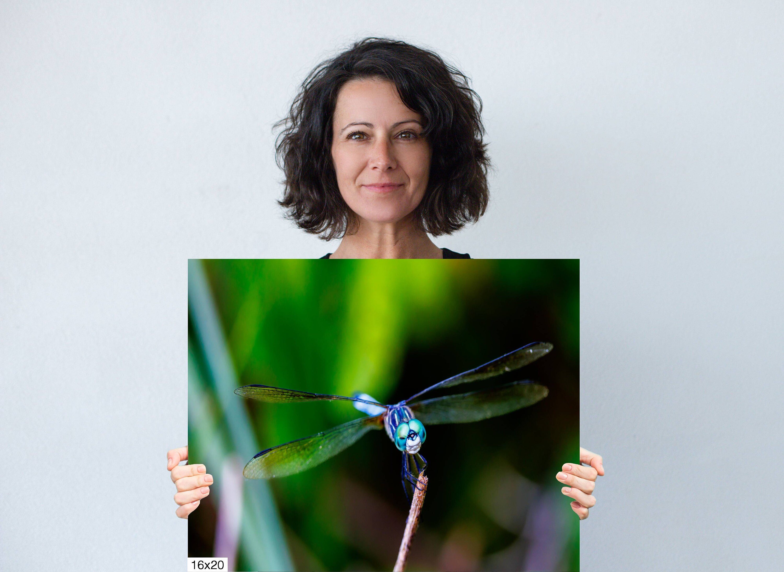 Smiling Dragonfly Canvas Dragonfly Picture Wall Art - Etsy