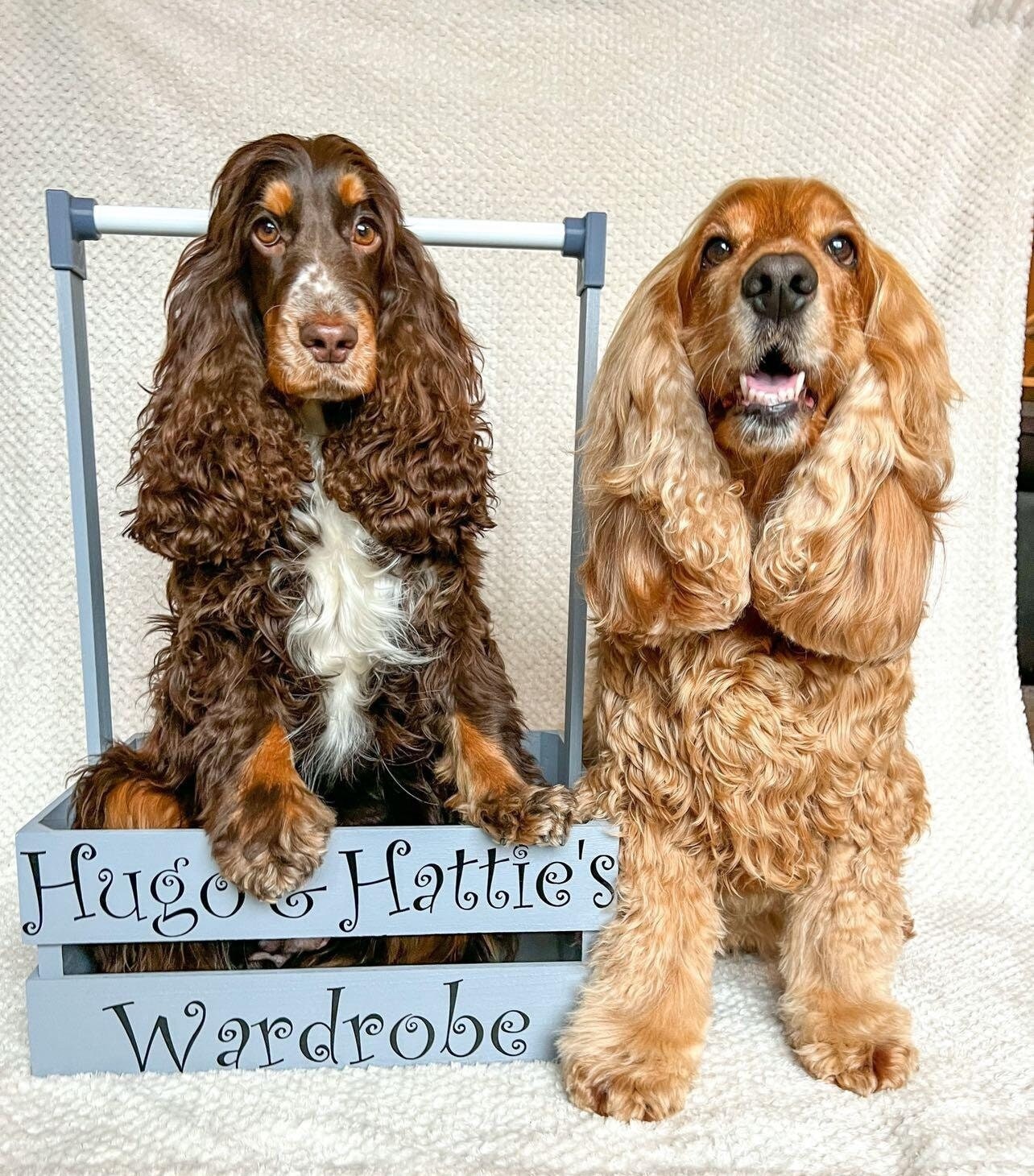 White Dog Wardrobe, Dog Wardrobe, Dog Storage Rail, Wardrobe for Dogs