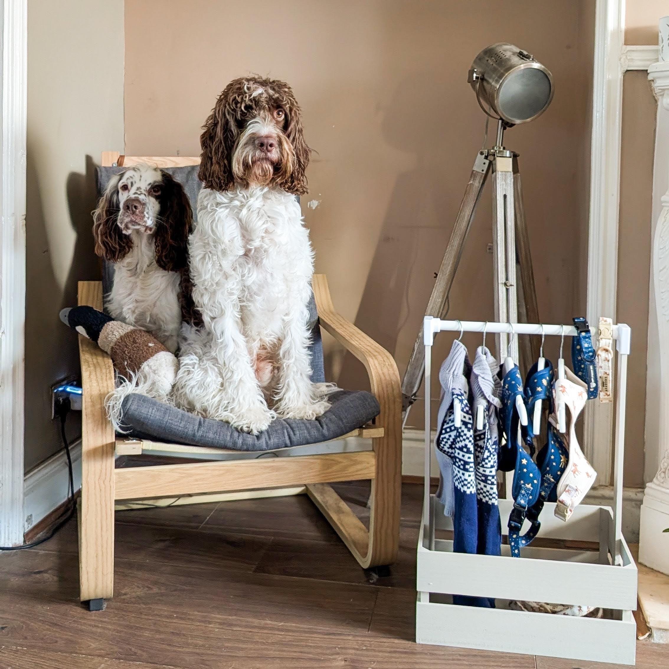 Personalised Dog Wardrobe: Wooden Pet Clothes and Harness Storage