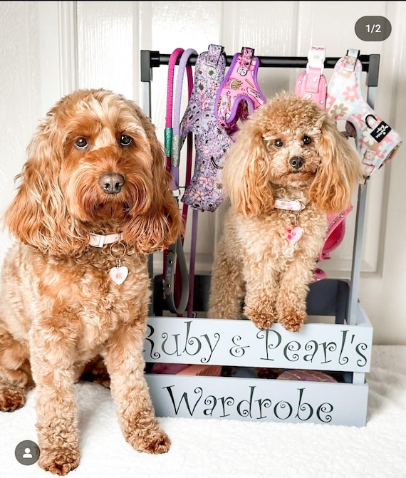 Personalised Dog Wardrobe: Wooden Pet Clothing & Accessory Storage