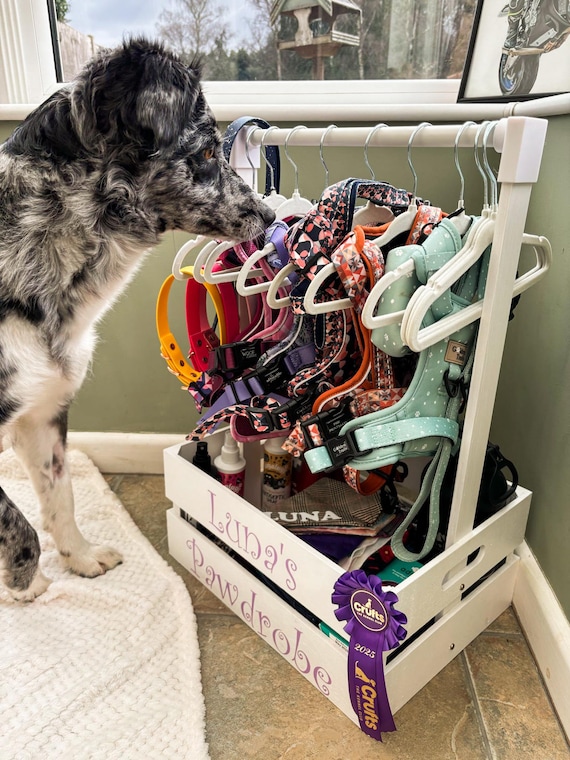 Personalised Dog Wardrobe: Wooden Pet Clothes and Harness Storage