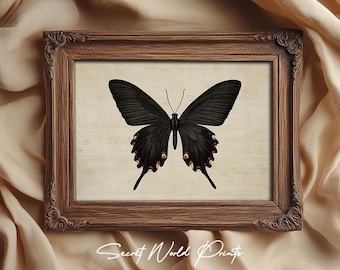 Vintage Butterfly Print: Dark Academia Gothic Moth Art (Digital Download)