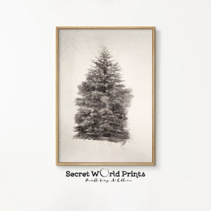 Vintage Weihnachtsbaum Skizze Print | Druckbare Baum Zeichnung Kunst | Winter-Skizze Wandkunst | Digitale Drucke | DRW-14