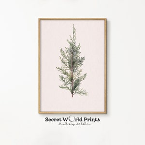 Vintage Winter Printable Wall Art | Botanical Christmas Decor | Country Christmas Print Digital Download | WT-50