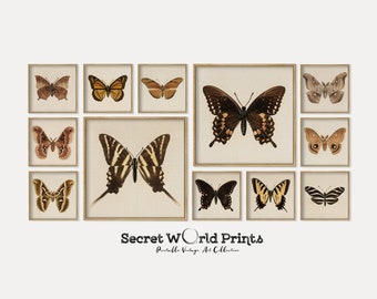 Vintage Butterflies Wall Art | Butterfly Prints | Gallery Wall Set of 12 Prints | Insect Illustration Printable | Bedroom DIGITAL DOWNLOAD