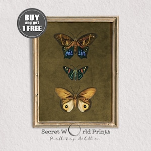 Vintage Neutral Butterfly Print, Antique Butterfly Drawing, Printable Wall Art, IN-6