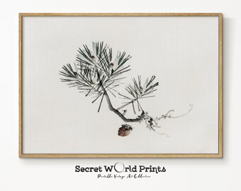 May include: A watercolor painting of a pine branch with green needles and brown pine cones. The painting is framed in a light wood frame. The image includes the text "Secret World Prints, Printable Vintage Art Collective."