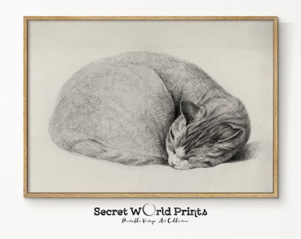 Vintage Cat Sketch Print: Antique Farmhouse Animal Art (Digital Download)