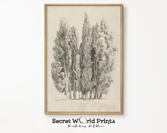 Vintage Tree Sketch Print: Rustic Farmhouse Wall Art (Digital Download)