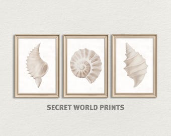 Seashell Watercolor Print Set: Beige Coastal Wall Art (Digital Download)