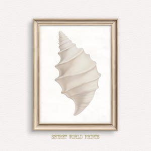 Peut inclure: Une impression encadrée représentant une illustration détaillée d'un coquillage de couleur crème. La coquille, de forme spiralée, est posée sur un fond blanc. Le cadre est de couleur beige clair. Le texte "SECRET WORLD PRINTS" est en bas.