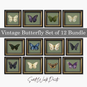 Butterfly Gallery Wall Art Prints, Insect Printable Art, Set of 12 Butterflies,Green Farmhouse Decor, Antique Moth Painting Download,BTF-C-5