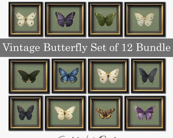 Vintage vlinderprintset: antieke insectengalerij muurkunst (digitale download)