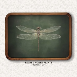 May include: A framed print of a dragonfly with brown and green wings on a green background. The print has the text "SECRET WORLD PRINTS - Printable Art -" at the bottom.